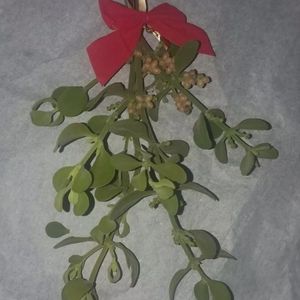 Mistletoe
